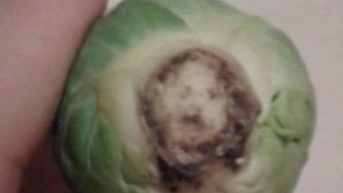 Hasiči zasahujú v rekreačnej oblasti Harmónia v katastri mesta Modra pri požiari strechy chaty.