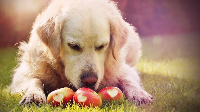 Ilustračná snímka.