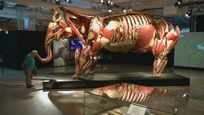 Robert Fico prichádza na brífing po skončení rokovania Krajskej rady strany Smer-SD v obci Malá Ida.