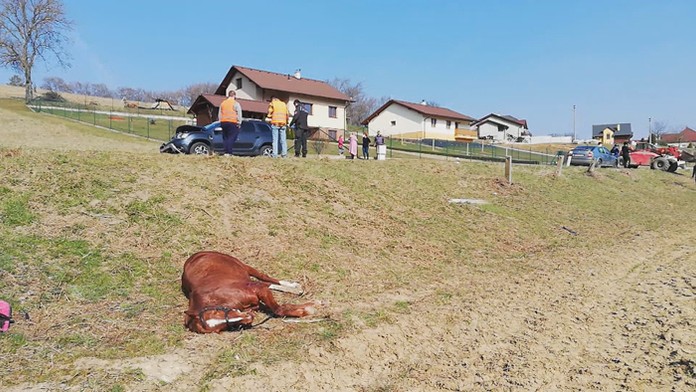 Nehoda auta s koňom v Motešiciach.