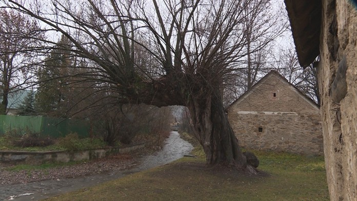 Ilustračná snímka