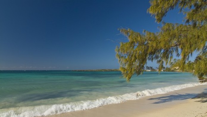 Tragédia v dovolenkovom raji: Hromadná otrava si vyžiadala desiatky životov