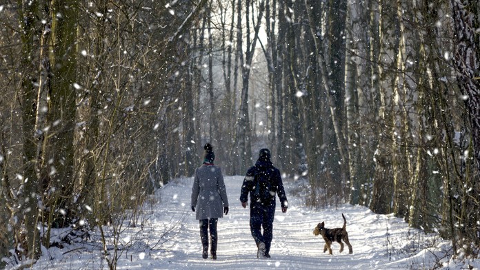 Ilustračná snímka