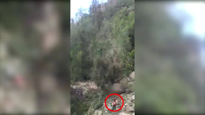 Muža zavalil strom.jpg