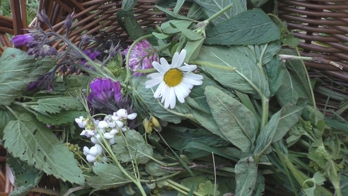 Ilustračná snímka.