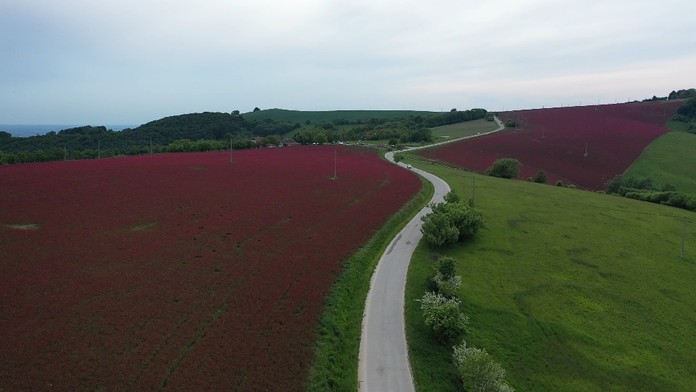 Plošné testovanie zrýchlilo
