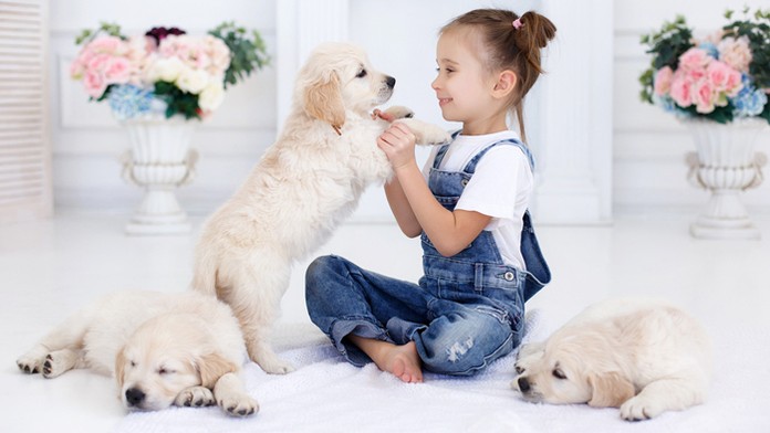 Lopta počas duelu v Premier League.