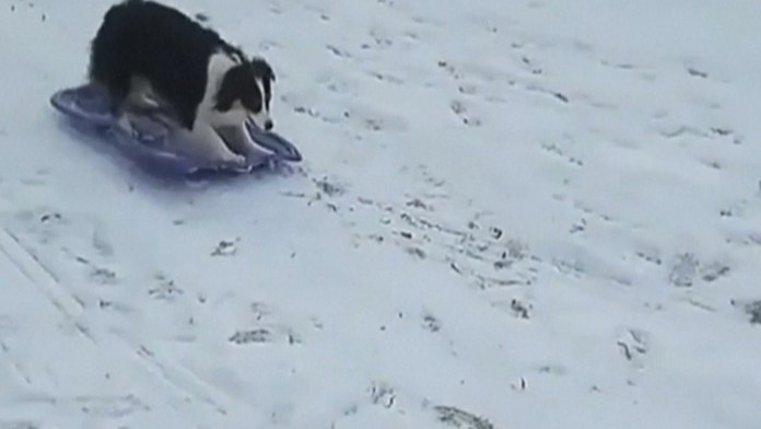 Mariah Carey na Zlatých glóbusoch