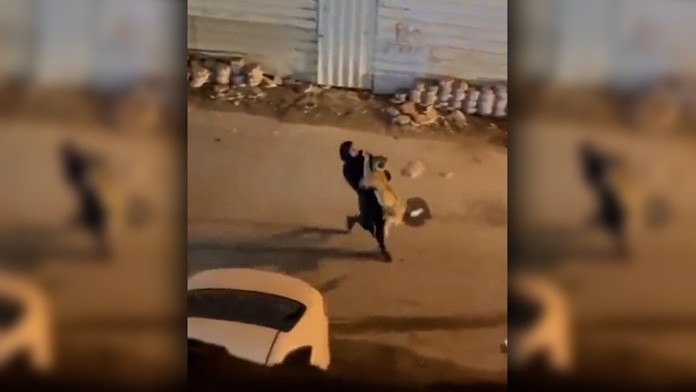 Neuveriteľný pohľad, žena odniesla na rukách levíča na úteku