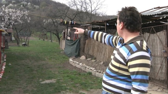 Záhadný tvor na východe Slovenska