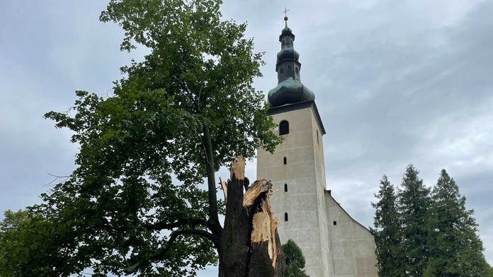 Veľká lipa mala 460 rokov.