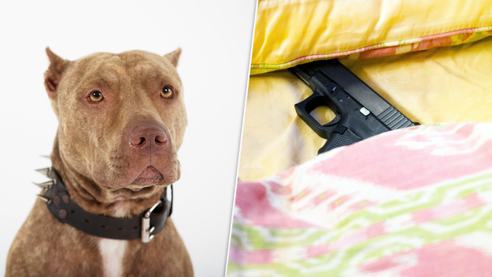 Muž tvrdí, že ho postrelil jeho vlastný pes