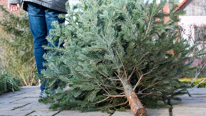 Ilustračná snímka