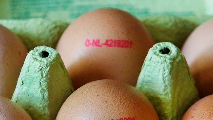 Holandské vajíčka v supermarkete v nemeckom meste Frankfurte.