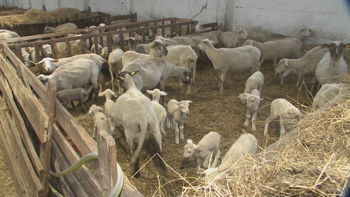 Ilustračná snímka.