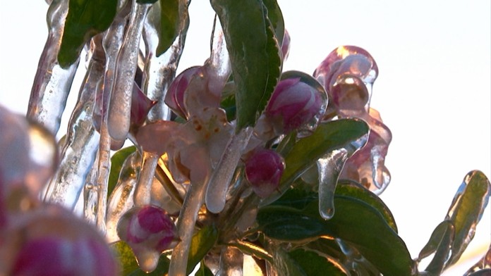 17 Mraz varovanie.transfer_tvnoviny.mp4