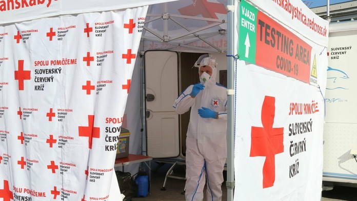 Delfíny sa nám podobajú viac než si myslíme. Vedci objavili ďalšiu spoločnú vlastnosť