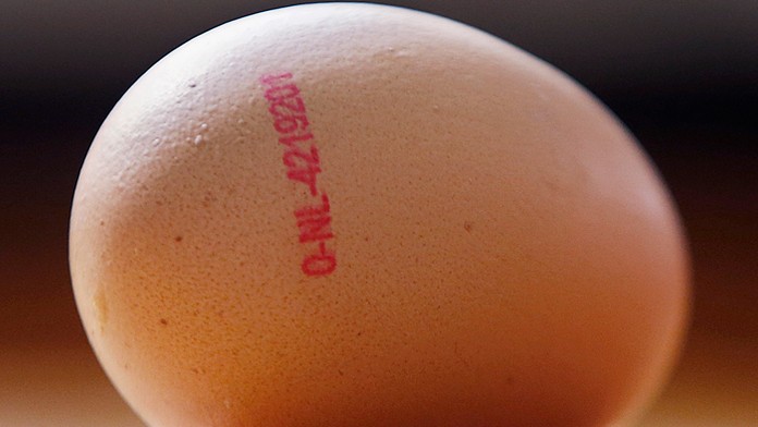 Kontaminované vajce z Holanska.