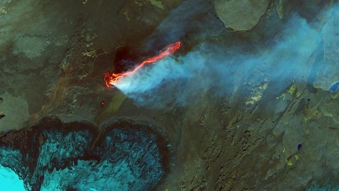 Dominika Cibulková.