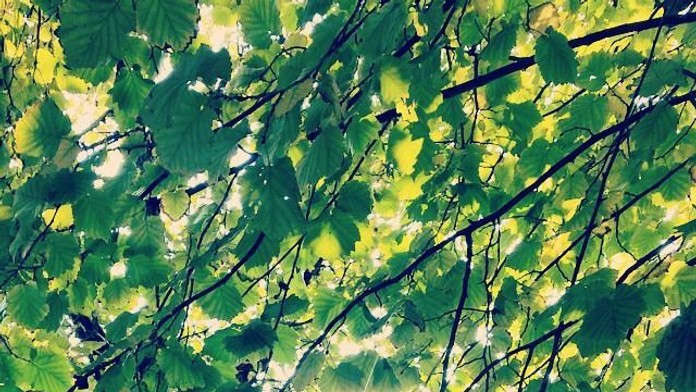 Jeseň v Bratislave.