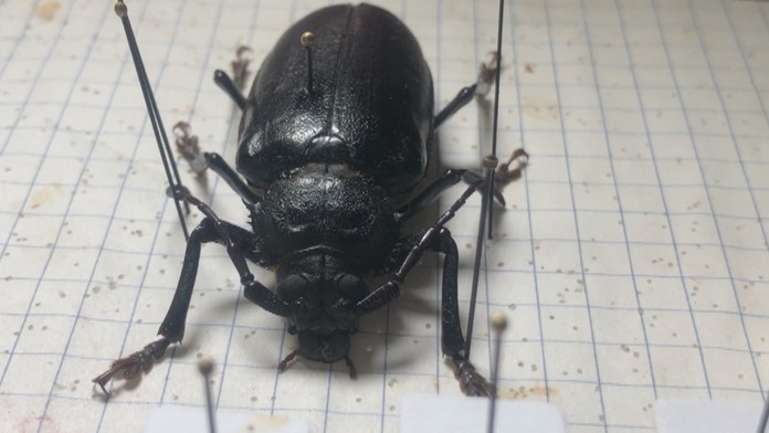 Braňo Deák ako študent.