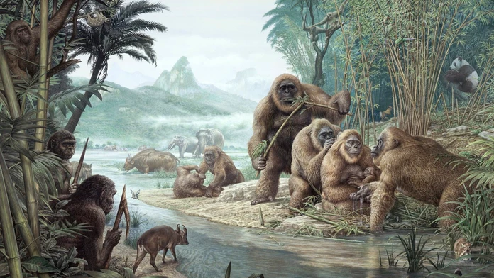 Najväčší primát histórie mal k ľuďom bližšie, než sme si mysleli. Nová štúdia mení pohľad na gigantopiteka