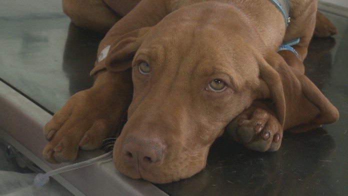 Ilustračná snímka.