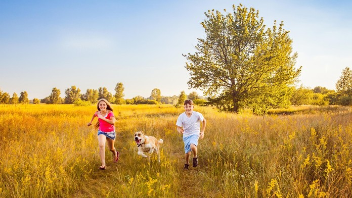 Ilustračná snímka.