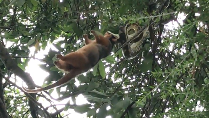 Vrtuľník sa zrútil krátko po štarte. 