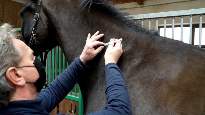 Princ Harry a Meghan Markle počas rozhovoru s Oprah Winfrey