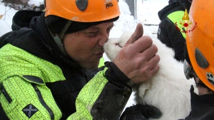 Šteniatkam sa nič nestalo. 