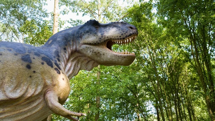 Vedci odhalili tajomstvo Tyrannosaura rexa. V jednej veci bol človeku podobnejší, než sme si mysleli