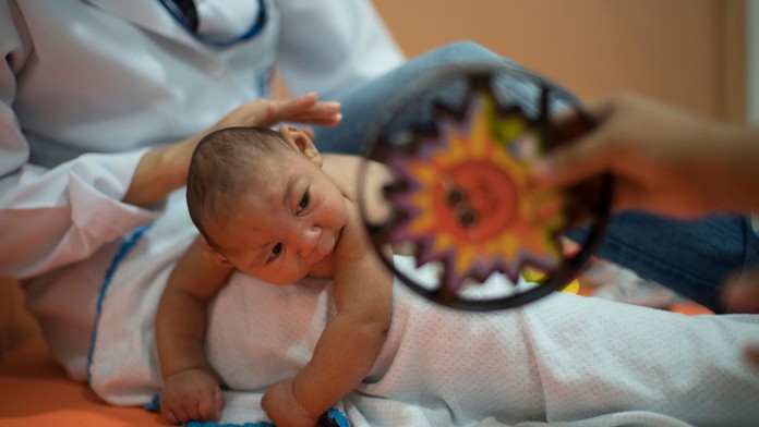 Vírus Zika útočí.