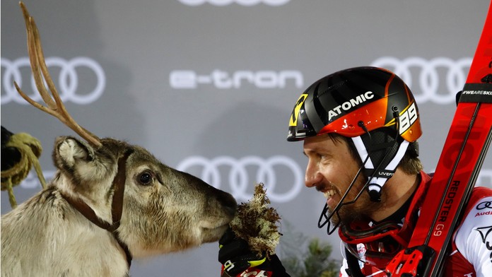 rakúsky slalomár Marcel Hirscher kŕmi darček za víťazstvo - mladého soba..jpg