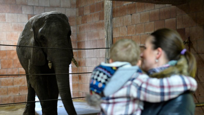 Ilustračná snímka