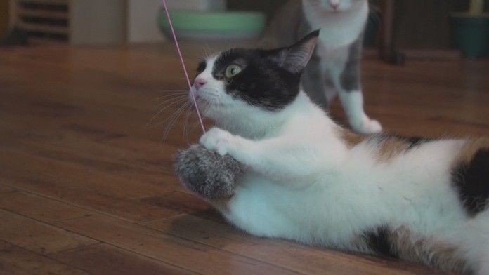 19_tekelova_tvnoviny.mp4