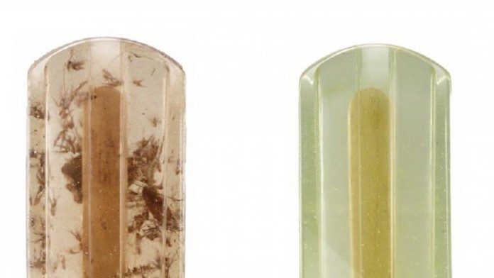 Nanuky zo vzoriek vody.