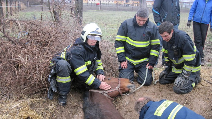 Hasičom sa podarilo zachrániť uviaznutého koňa.