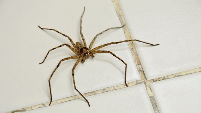 Spoznávate obľúbeného herca?