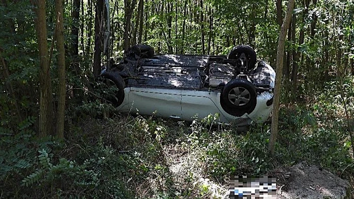 Stret mladíka so zverou sa skončil zle. 