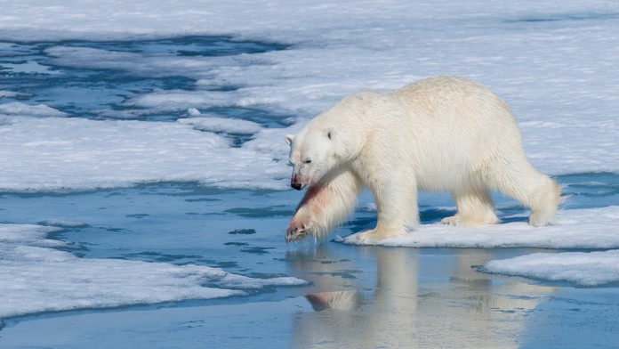 Pohľad na kempingovú oblasť neďaleko hlavného mesta Longyearbyen.