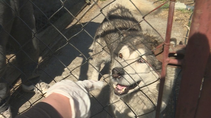 Prokurátor žaluje Nitru za zákaz hazardu.