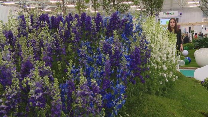 Kvetiny na výstave Flora