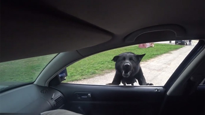 Miriam Kalisová a Michal Menkyna