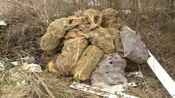 17 KE Prasacinky 2 DEMO.transferFOTOweb_jpg_bez_watermarku_1.jpg