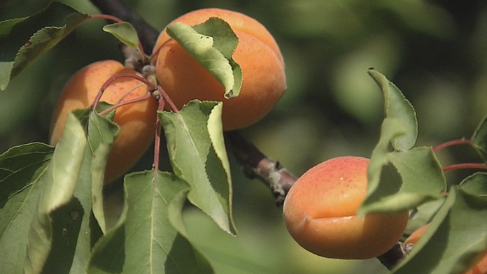 Ilustračná snímka.