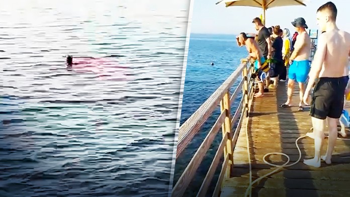 Plavčíci vysmiali ľudí, ktorí upozornili na žraloka. Typický Egypt, spamätali sa až po druhej obeti, hovorí turistka