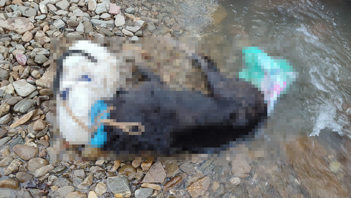 Utopeného psa našli pri Dolnej Breznici