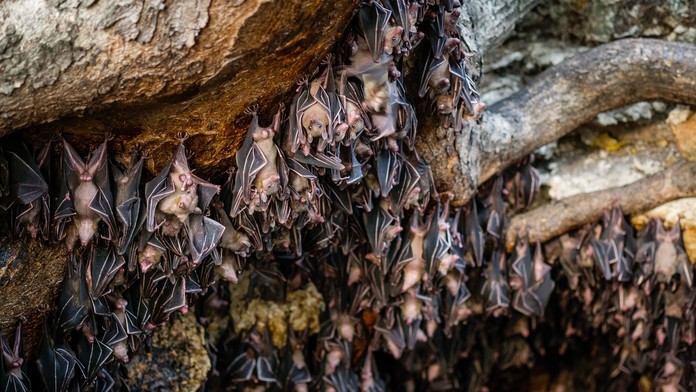 Ilustračná snímka. 