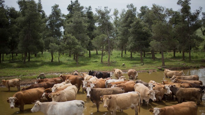 Ilustračná snímka.